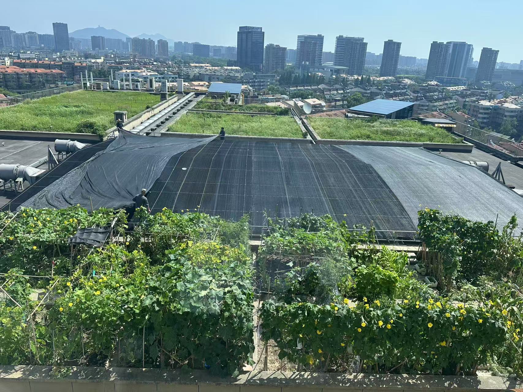 水晶城巧施」刳阳术“，为节能降耗注入清冷动力