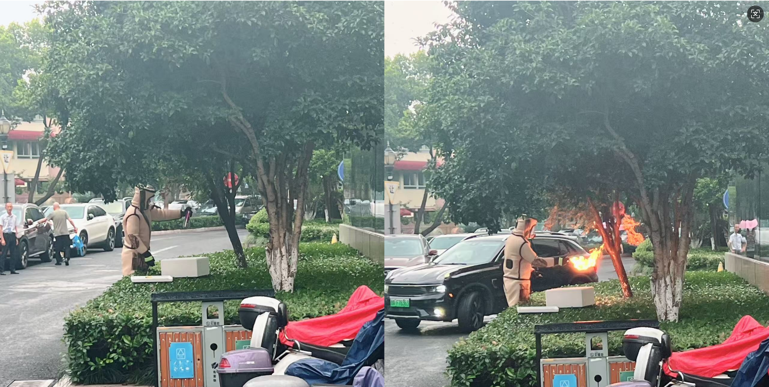 安全守护零距离，水晶城急剧措置表围蜂群隐患