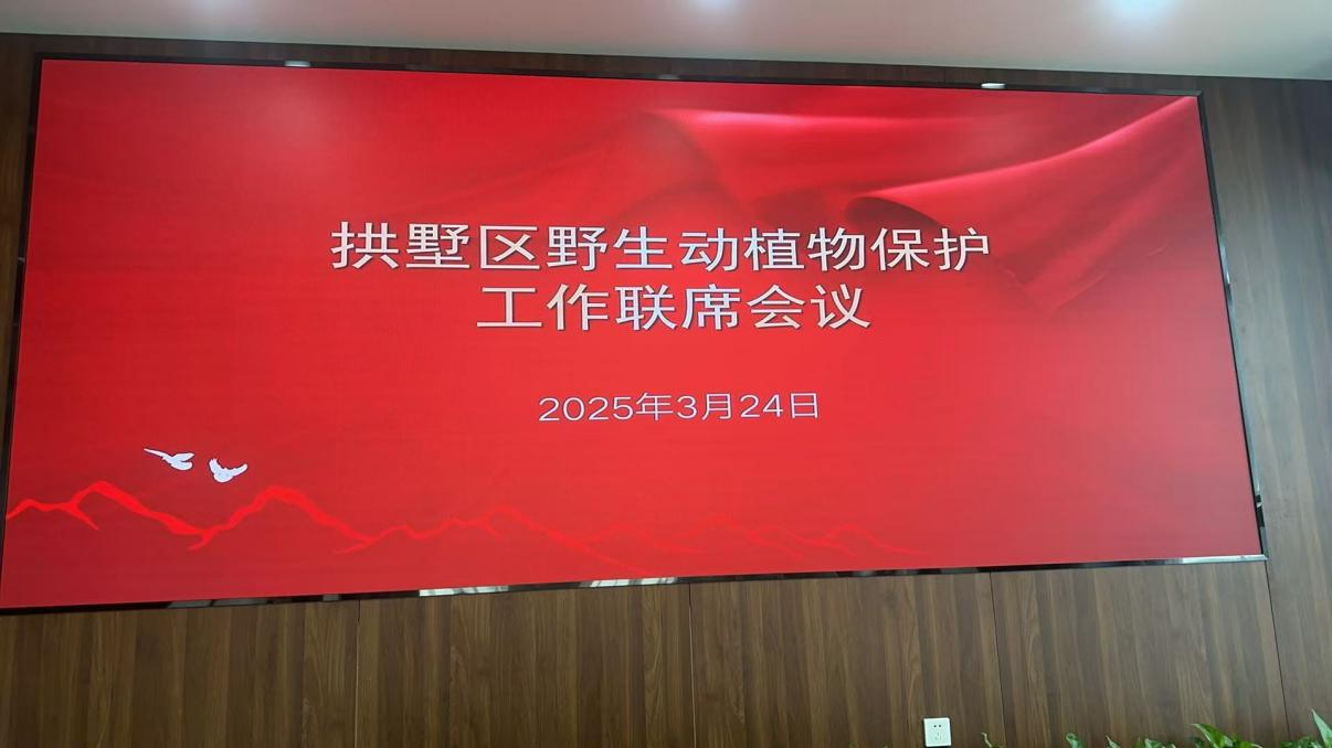 钱江商城参与拱墅区野活泼植物；すぷ髁嵋