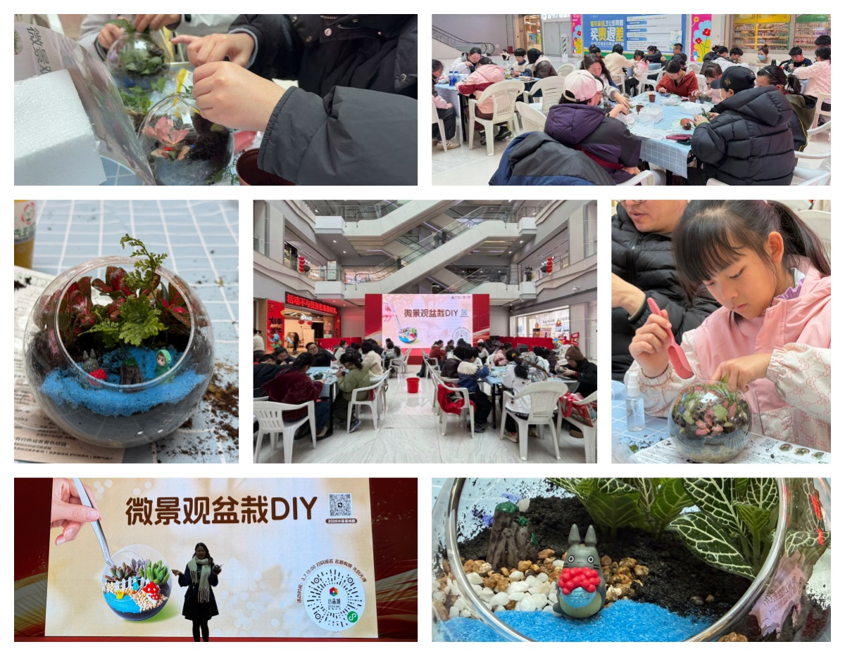 巧手造微景，指尖绽春意——水晶城微景观盆栽 DIY 活动圆满进行
