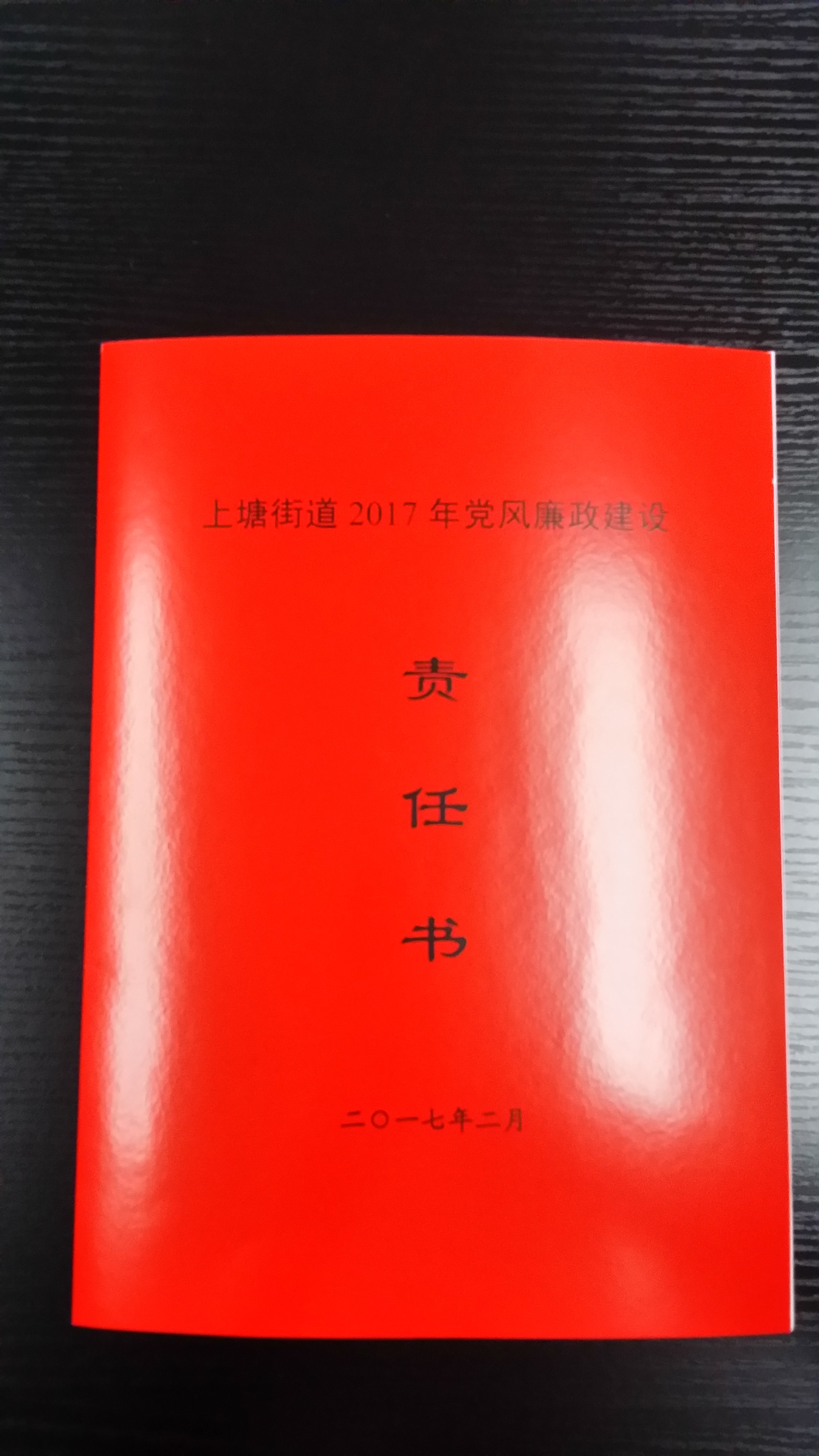成立换届辅导幼组.jpg